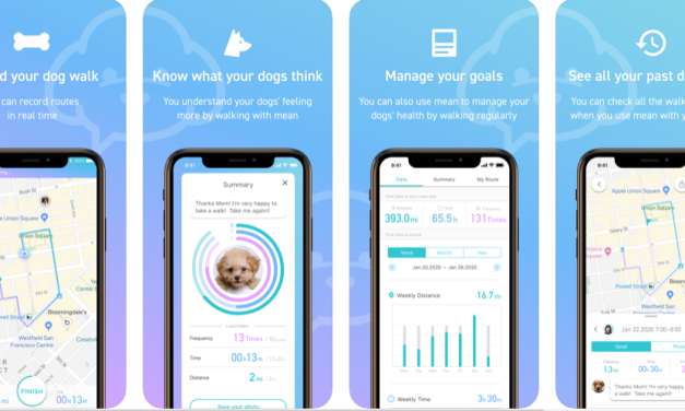 Mean – For All Doggies: The Best Dog Walk App for All the Puppy Parents